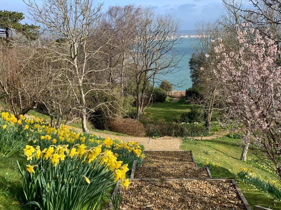 1 Bed Apartment - Sea View Shanklin Eksteriør bilde